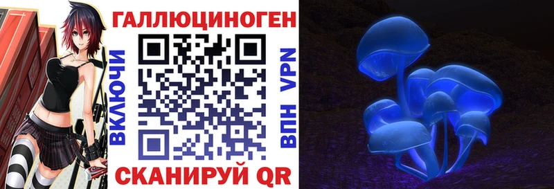 Псилоцибиновые грибы Psilocybe Прокопьевск